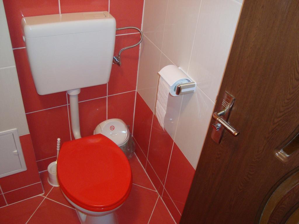 Apartament Miruna Sibiu Filarmonicii Δωμάτιο φωτογραφία